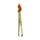 Capybara Shaped Tweezers