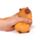 Stretchy Capybara Toy