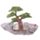 Flower Fairy World Figures Display Stand