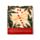 Christmas Botanicals Matchbook Nail File