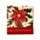 Christmas Botanicals Matchbook Nail File