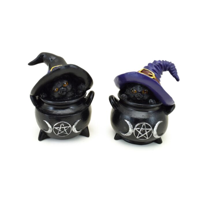 Witches Magical Black Cat in Oversized Hat and Cauldron
