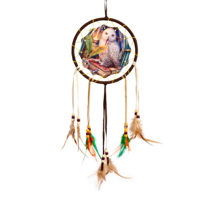 Lisa Parker Guardian of Spells Owl Dreamcatcher 16cm