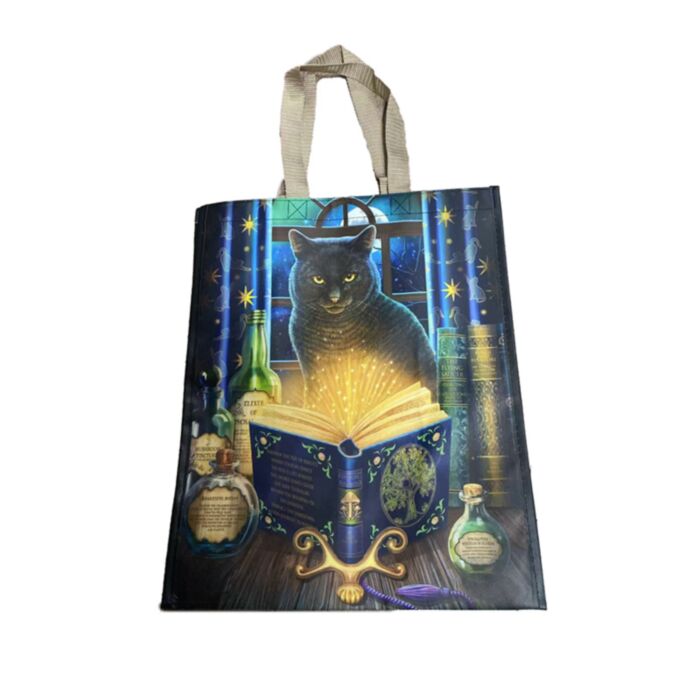 Lisa Parker Bewitched Cat Reusable Shopping Bag