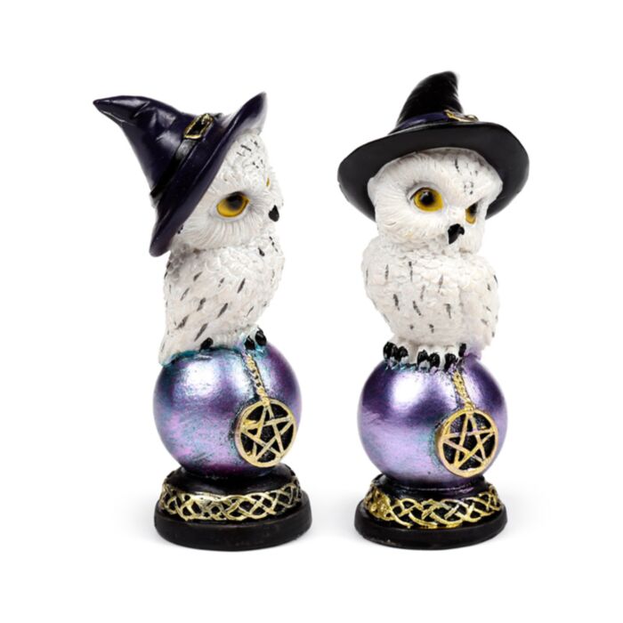 Wise Old Magical Owl on Iridescent Orb