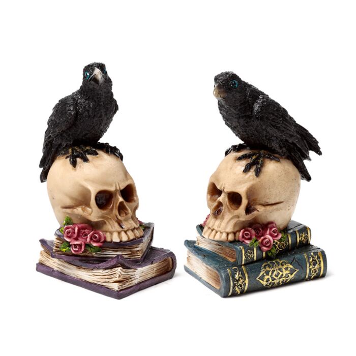 Crow Perched on Skull & Books