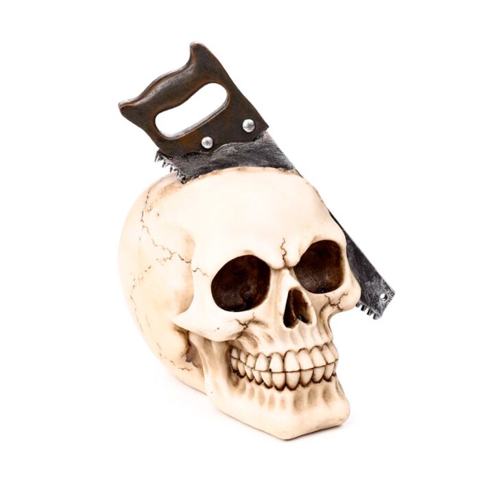 Skull with Saw Through Head