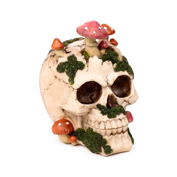 Skull with Toadstools & Moss