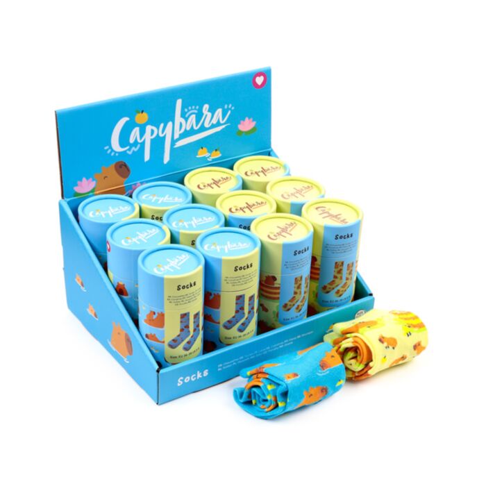 Capybara Socks in a Tube