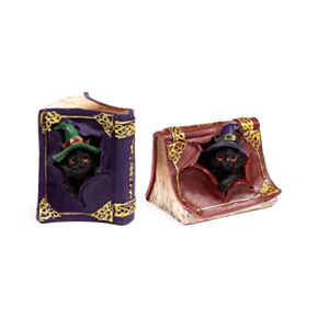 Witches Magical Black Cat Mischievous Spell Book