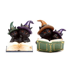 Witches Magical Black Cat Spell Book