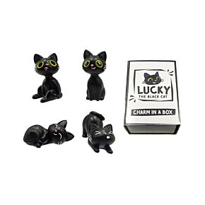 Lucky the Black Cat Charm in a Box