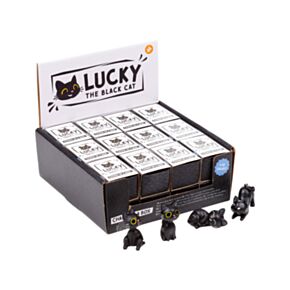 Lucky the Black Cat Charm in a Box