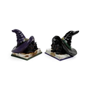 Witches Magical Black Cats Learning Spells