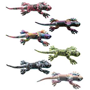 Frill Neck Lizard Large Sand Animal