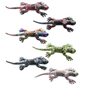 Frill Neck Lizard Large Sand Animal