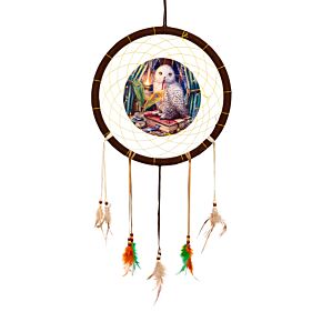 Lisa Parker Guardian Of Spells Owl Dreamcatcher 33cm