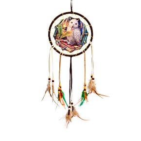 Lisa Parker Guardian of Spells Owl Dreamcatcher 16cm