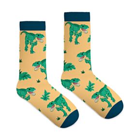 Dinosaur Compressed Magic Socks
