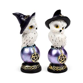 Wise Old Magical Owl on Iridescent Orb