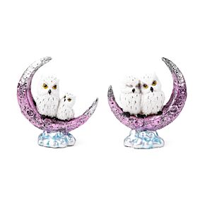 Wise Old Magical Owl Crescent Moon