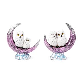 Wise Old Magical Owl Crescent Moon