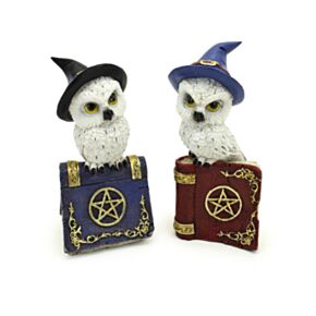Wise Old Magical Owl with Witches Spell Book