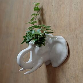 Ceramic Elephant Head Garden Wall Planter/Plant Pot Ceramic Elephant Head Garden Wall Planter/Plant Pot