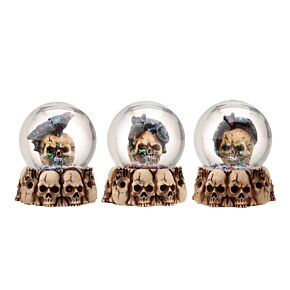 Gruesome Skull Snow Globe with Animals