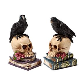 Crow Perched on Skull & Books