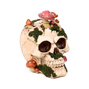 Skull with Toadstools & Moss