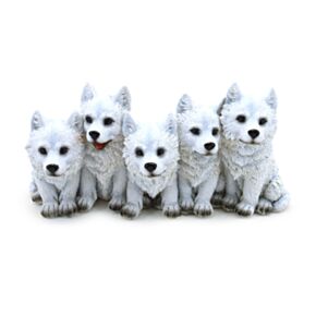 5 Mischievous Wolf Puppies